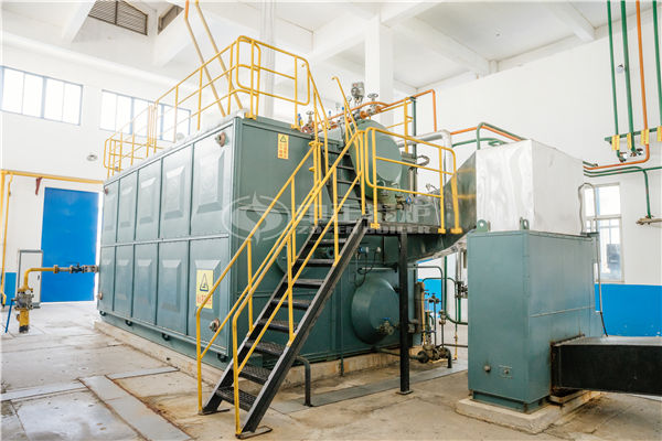 58MW DHW系列大型往复炉排燃煤热水锅炉项目（龙港区供暖）